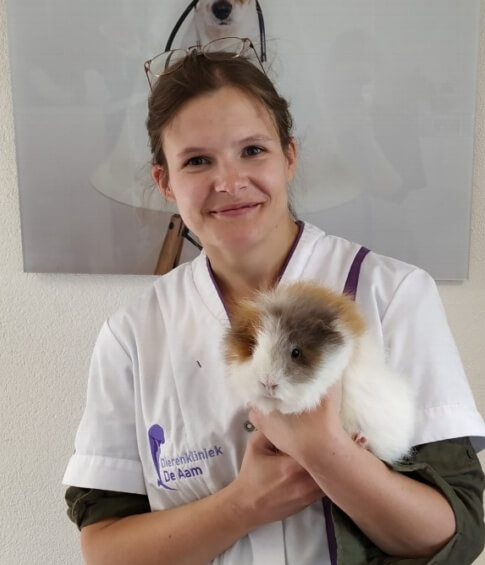 nienke